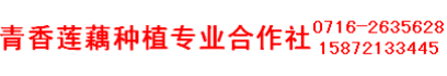 洪湖市青香莲藕种植专业合作社